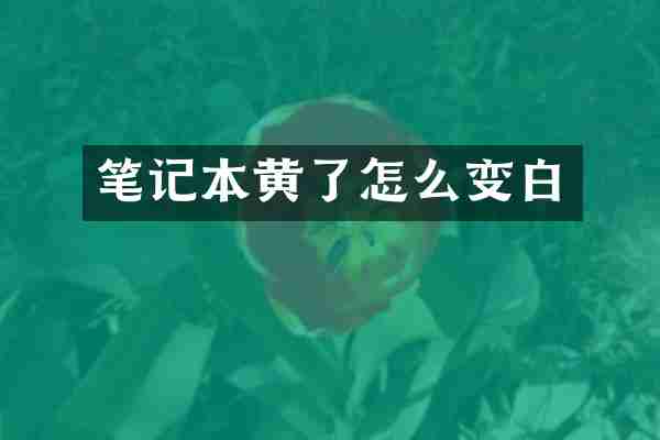笔记本黄了怎么变白