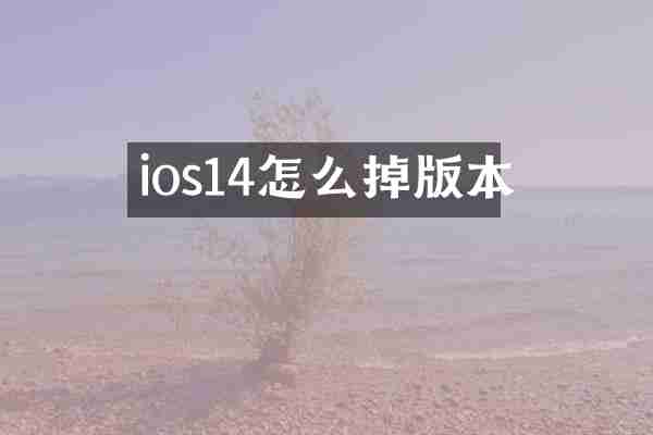 ios14怎么掉版本