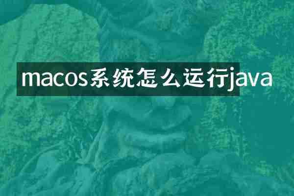 macos系统怎么运行java
