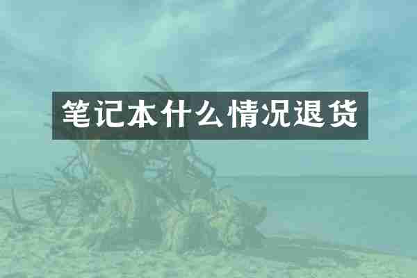 笔记本什么情况退货
