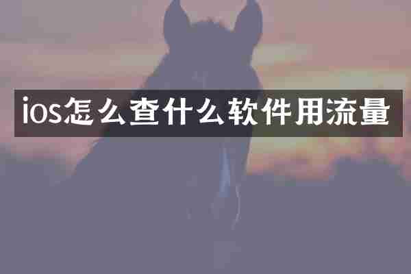 ios怎么查什么软件用流量