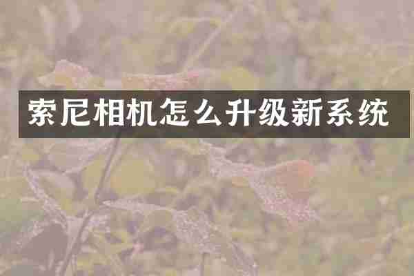 索尼相机怎么升级新系统