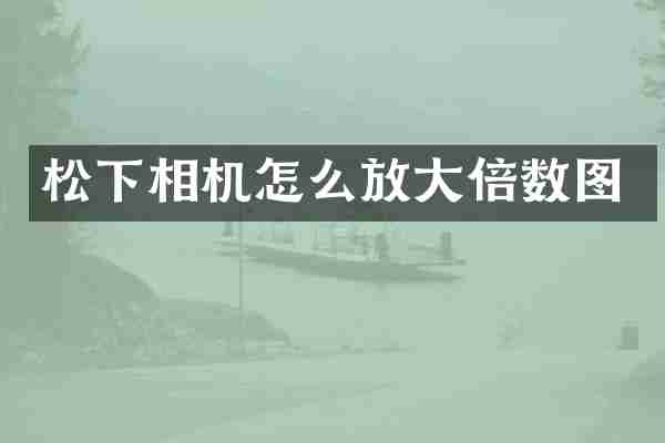 松下相机怎么放大倍数图