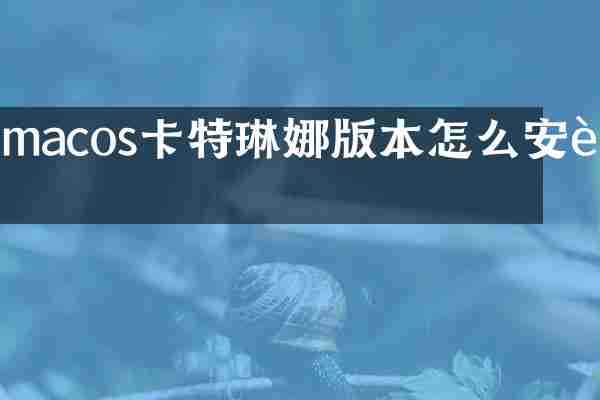 macos卡特琳娜版本怎么安装