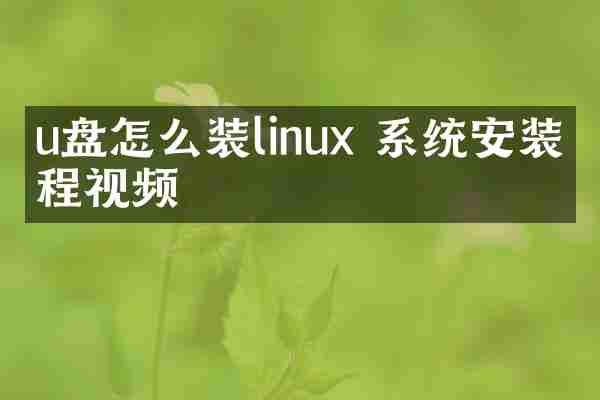 u盘怎么装linux 系统安装教程视频