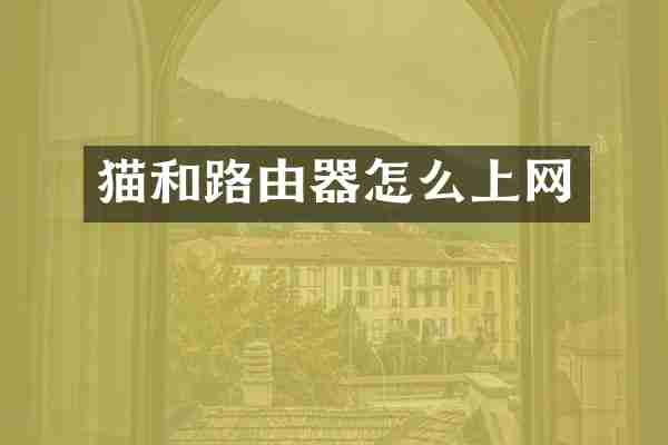 猫和路由器怎么上网