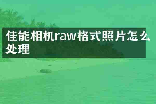 佳能相机raw格式照片怎么处理