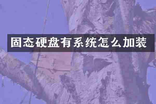 固态硬盘有系统怎么加装