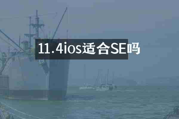 11.4ios适合SE吗