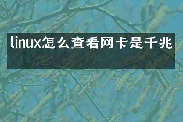 linux怎么查看网卡是千兆的