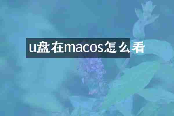 u盘在macos怎么看