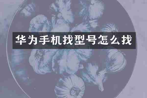 华为手机找型号怎么找