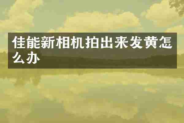 佳能新相机拍出来发黄怎么办