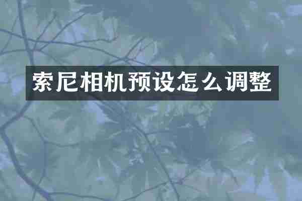 索尼相机预设怎么调整