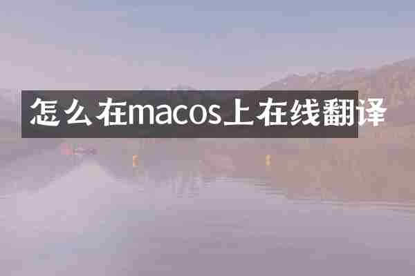 怎么在macos上在线翻译