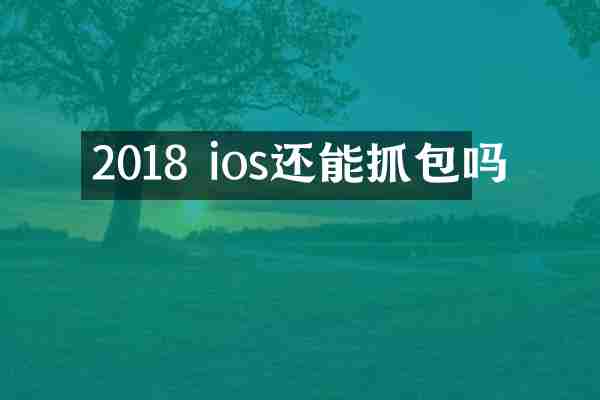 2018 ios还能抓包吗