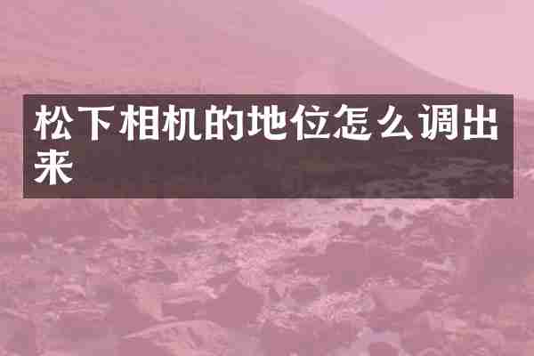 松下相机的地位怎么调出来
