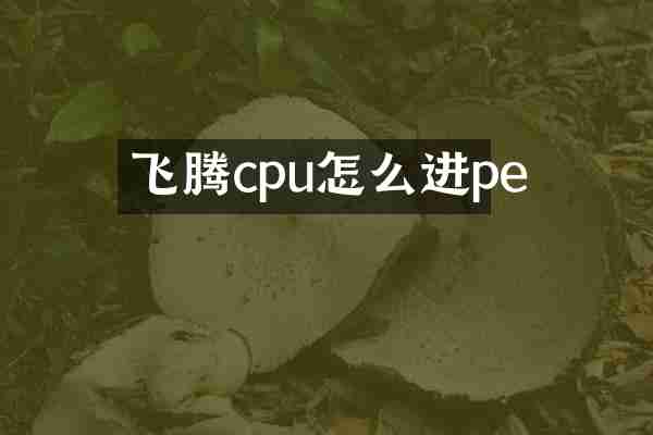 飞腾cpu怎么进pe