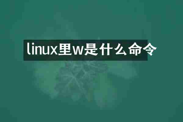 linux里w是什么命令