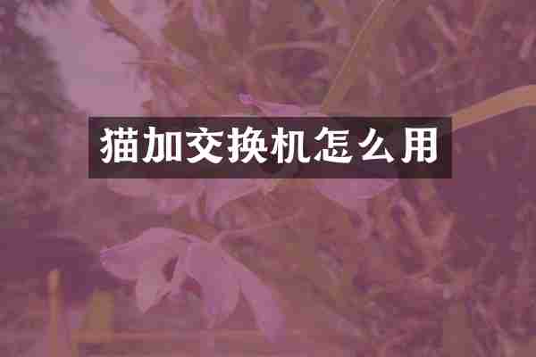 猫加交换机怎么用
