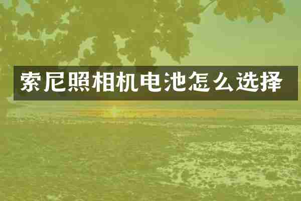 索尼照相机电池怎么选择