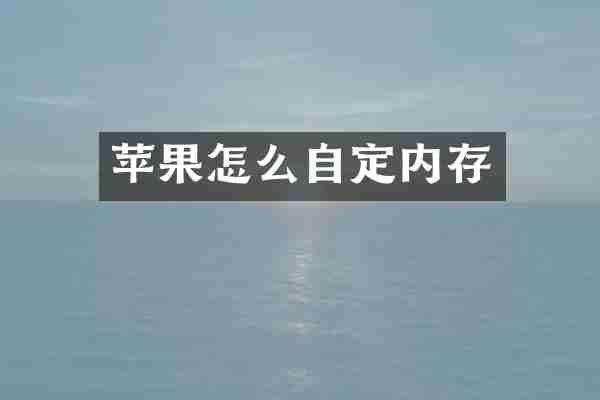 苹果怎么自定内存
