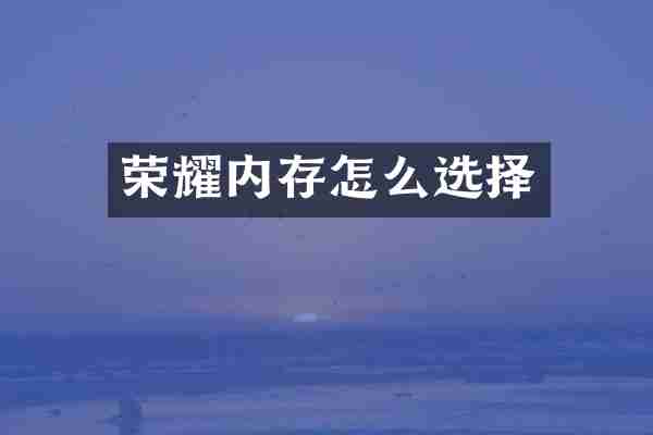 荣耀内存怎么选择