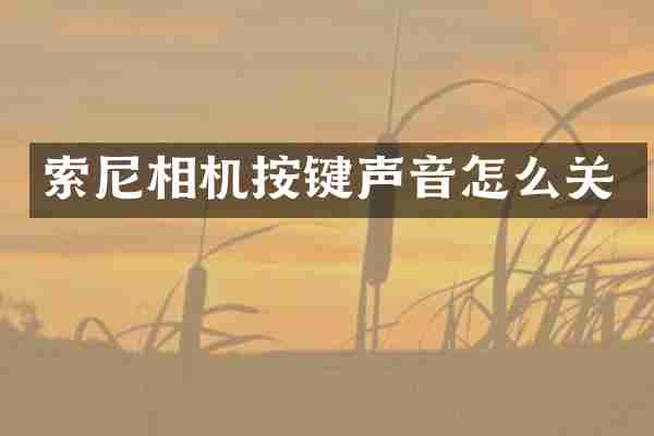 相机按键声音怎么关