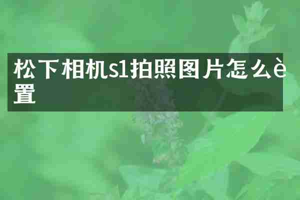 松下相机s1拍照图片怎么设置