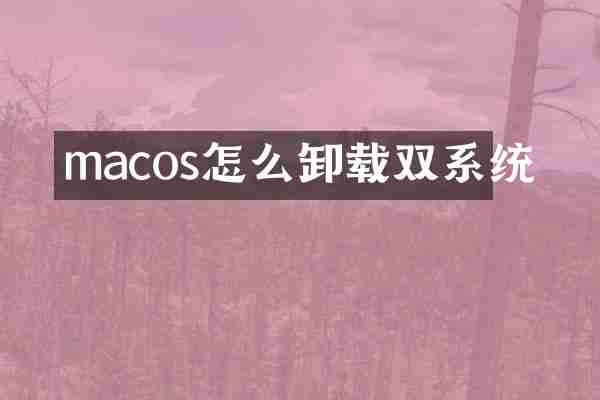 macos怎么卸载双系统