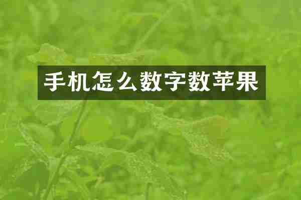 手机怎么数字数苹果