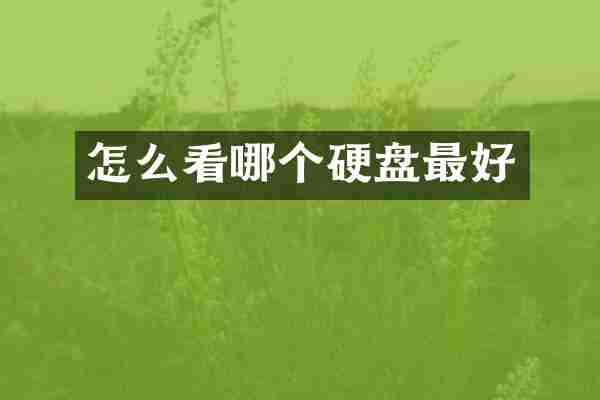 怎么看哪个硬盘最好