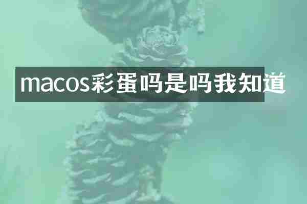macos彩蛋吗是吗我知道