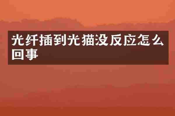 光纤插到光猫没反应怎么回事