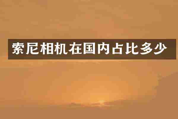 相机在国内占比多少