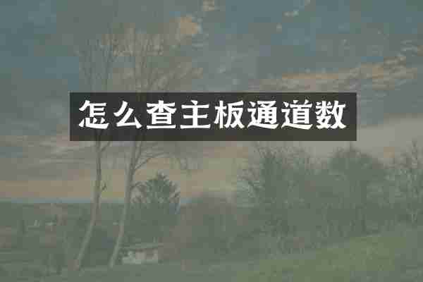 怎么查主板通道数