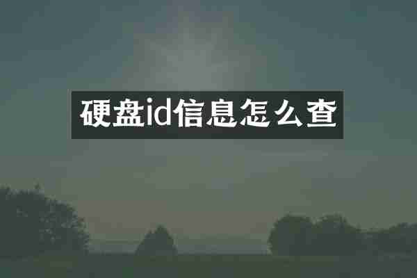 硬盘id信息怎么查