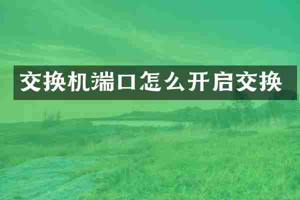 交换机端口怎么开启交换