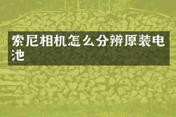 相机怎么分辨原装电池