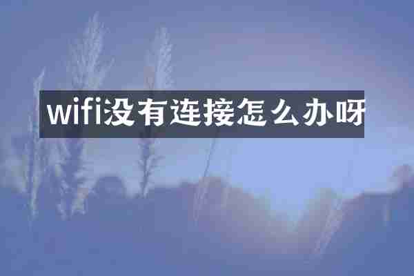 wifi没有连接怎么办呀