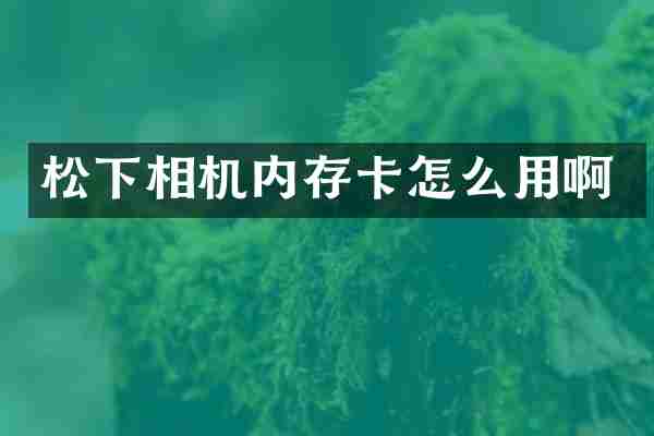 松下相机内存卡怎么用啊