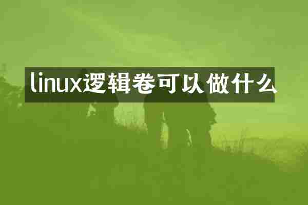 linux逻辑卷可以做什么