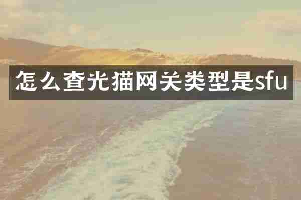 怎么查光猫网关类型是sfu