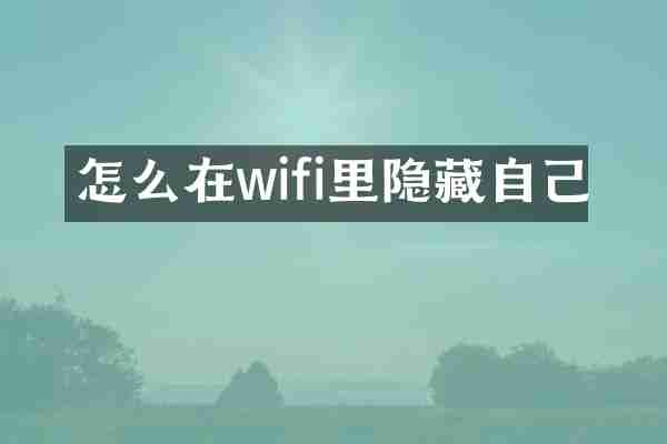 怎么在wifi里隐藏自己