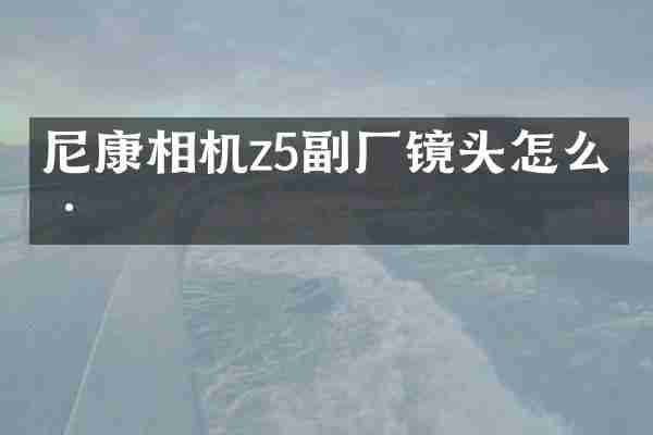 尼康相机z5副厂镜头怎么样