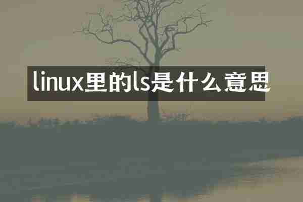 linux里的ls是什么意思