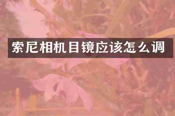 相机目镜应该怎么调