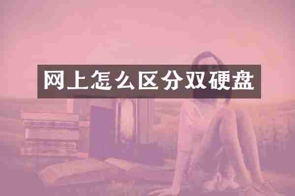 网上怎么区分双硬盘