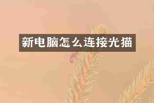 新电脑怎么连接光猫