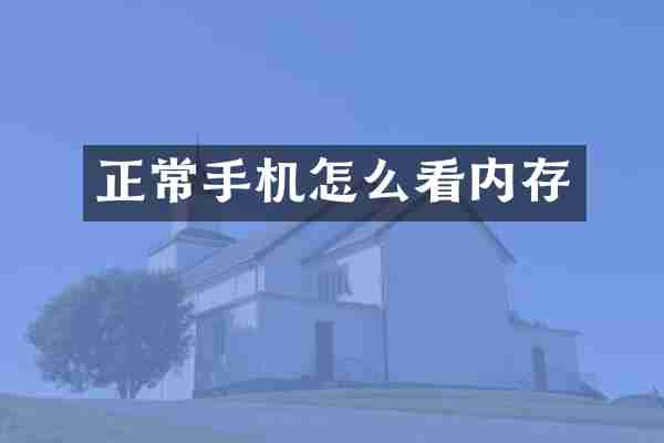 正常手机怎么看内存